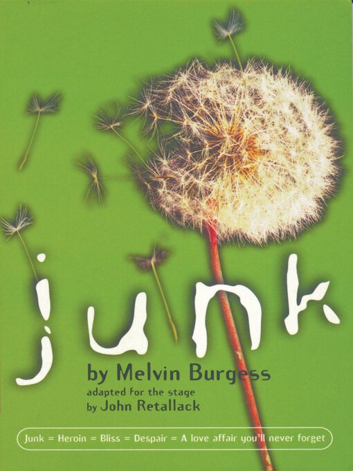 Cover image for Junk
